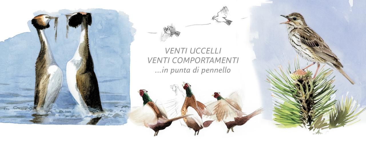 SERATE NATURALISTICHE GOL IN VALNURE 2026