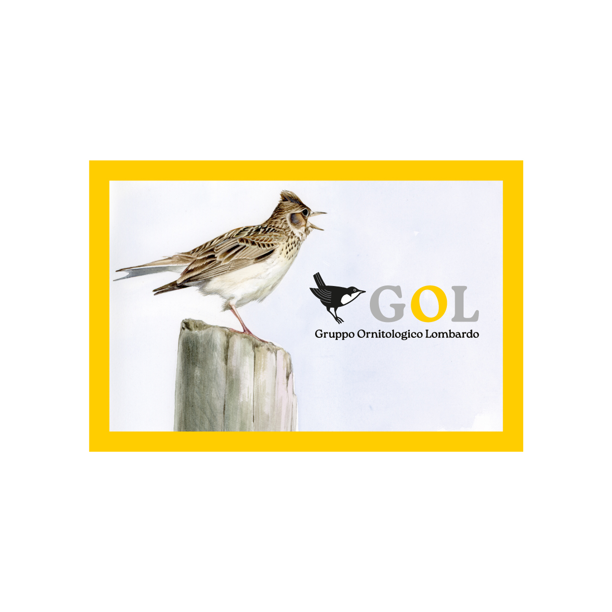 GADGET GOL 2026 by Epoca Design