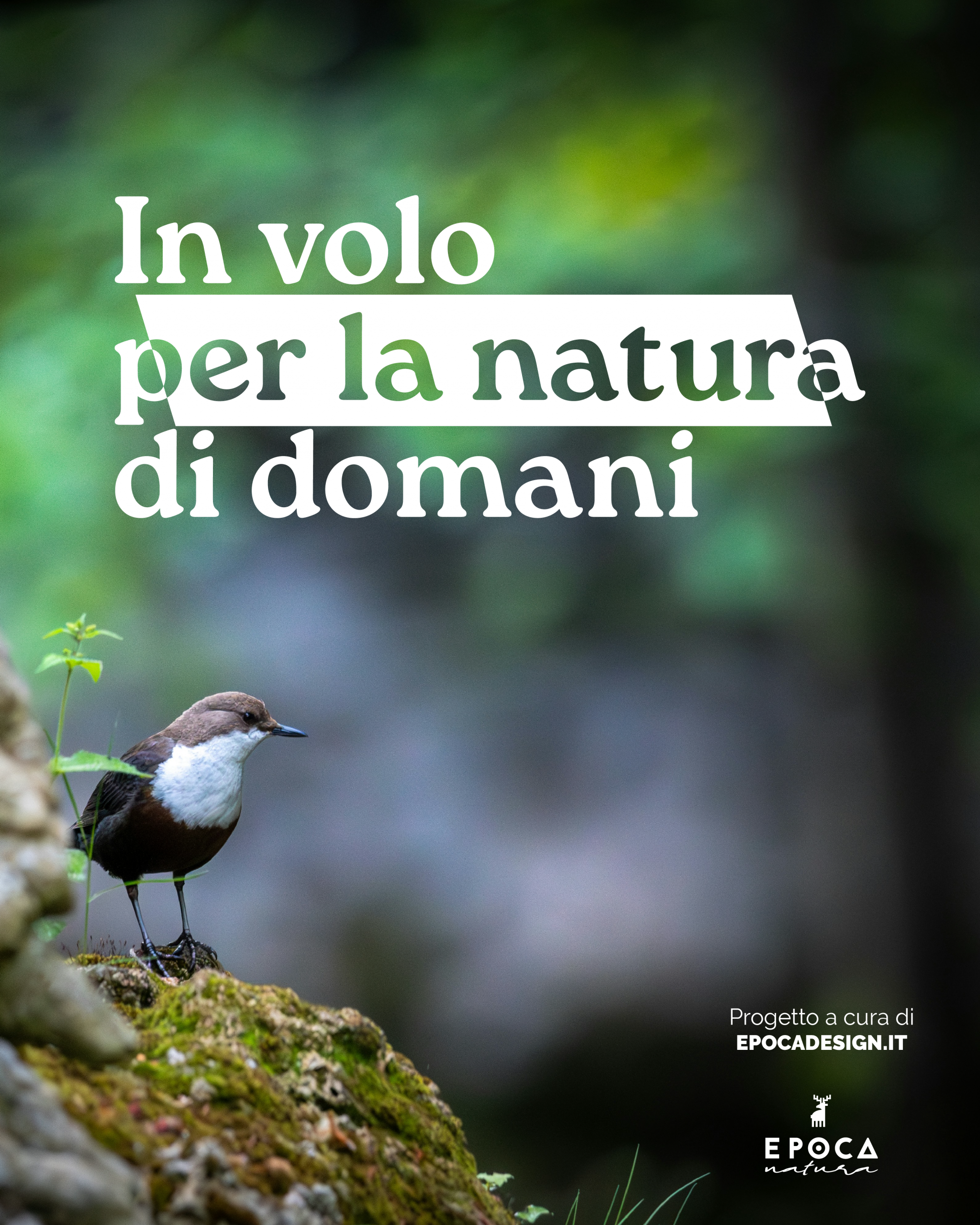 40 anni di storia del GOL – a cura di Epoca Design